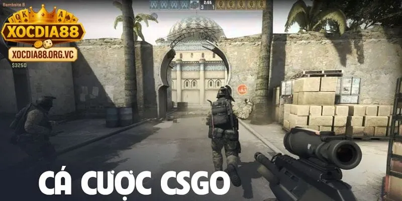 Vì sao Đặt cược CSGO trở thành trào lưu tại Việt Nam?